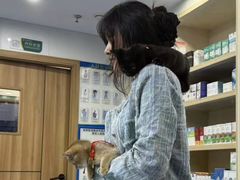-博特宠物医院24h犬猫全科.骨科·异宠