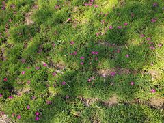 -野鸭湖国家湿地公园