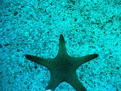-正佳极地海洋世界