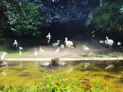 -珠海长隆海洋王国