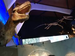 -贝林大翅鲸简餐厅(国家海洋博物馆店)