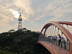 -金鸡山公园