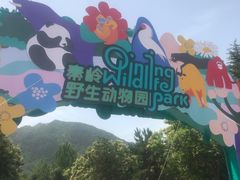 -西安秦岭野生动物园