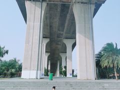 -中澳友谊花园