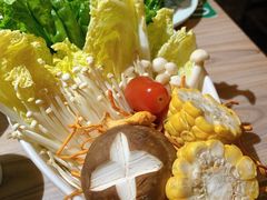 -探窝·竹笙椰子鸡(杨箕店)