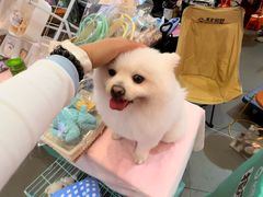 -友谊阳光城