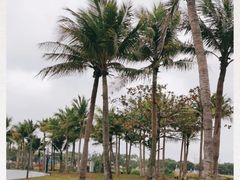 -万绿园