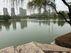 -青枫公园