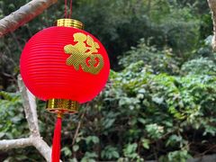 -桃花涧