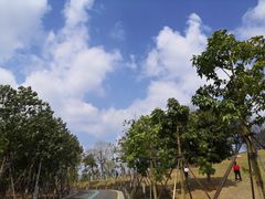 -飞凤山奥体公园