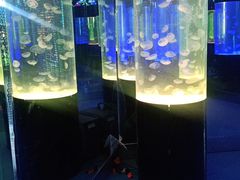 -沙沙哗啦海洋馆(华宇百花谷店)