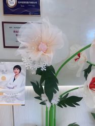 -轻辰医美