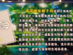 -南国锋味椰子鸡(瀚海店)