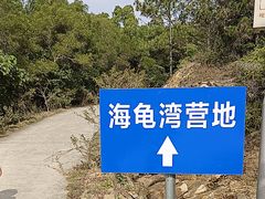 -广东惠东海龟国家级自然保护区