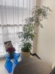 -JNK皮肤管理中心