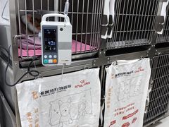 -派美特宠物医院·核磁CT·骨科肿瘤·疑难转诊(沈农禾丰店)
