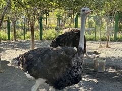 -水上乐园·欢乐世界