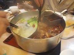 -野妹火锅(龙岗店)