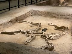 -洛阳周王城天子驾六博物馆