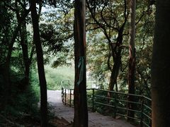 -黄埔油麻山森林公园