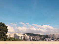 -新罗免税店(首尔总店)