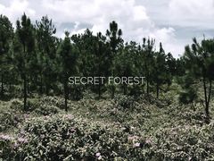 -白沙门生态公园