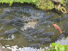 -千岛湖鱼味馆(十字街总店)