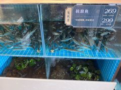 -欧记·龙城港(欣都店)
