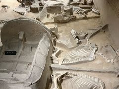 -洛阳周王城天子驾六博物馆