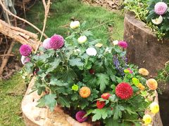 -共青国家森林公园-售票处