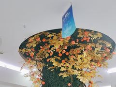 -美可普口腔医院(宝龙标杆店)