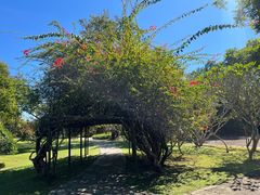 -中国科学院西双版纳热带植物园