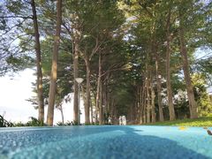 -广州国际生物岛