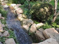 -大连植物园