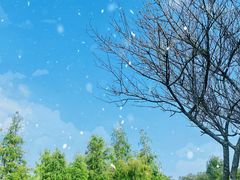 -松山湖风景区松湖烟雨