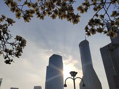-陆家嘴中心绿地