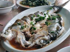 -晓琦农家菜馆·地道农家菜