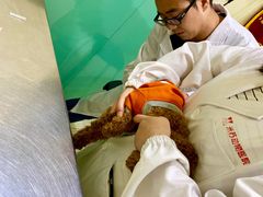 -米苏动物医院·犬猫专科·骨科外科内窥镜
