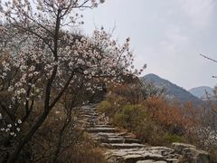 -阳台山自然风景区