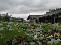 -莫催咖啡