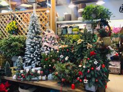 -双季花艺园艺市场(浦东店)