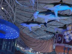-烟台海昌鲸鲨海洋公园
