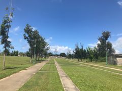 -美国纪念公园