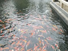 -番禺宾馆丽苑厅