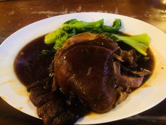 -绿光森林餐厅
