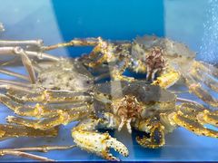 -快乐海鲜城(虎泉街店)