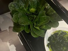 -辣伍鲜毛肚老火锅(元一店)