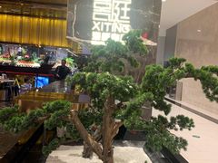 -喜庭海鲜自助(来福士店)