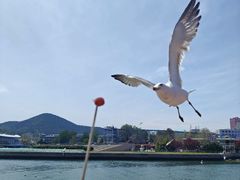 -大连老虎滩海洋公园