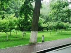 -棒棰岛宾馆景区